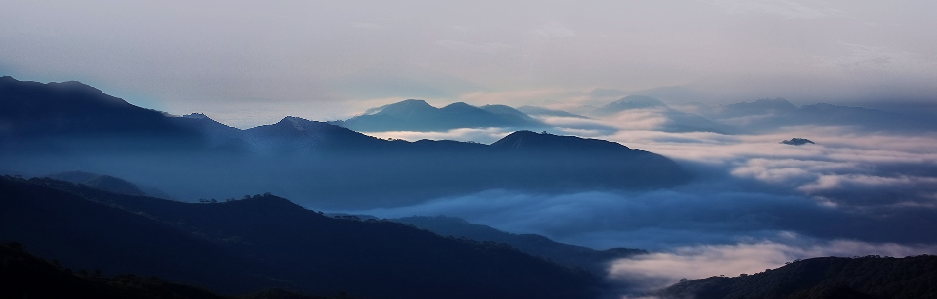 Ascent Petrochem Holdings Co., Limited