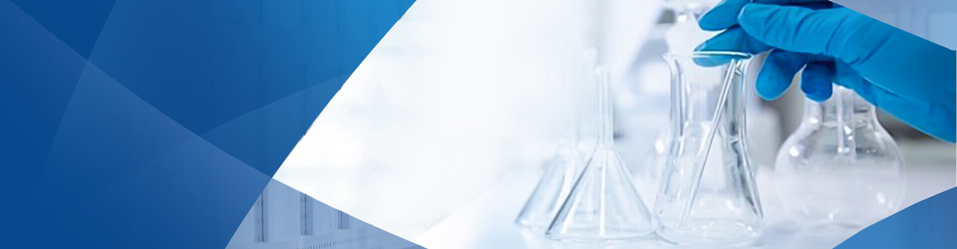 Ascent Petrochem Holdings Co., Limited