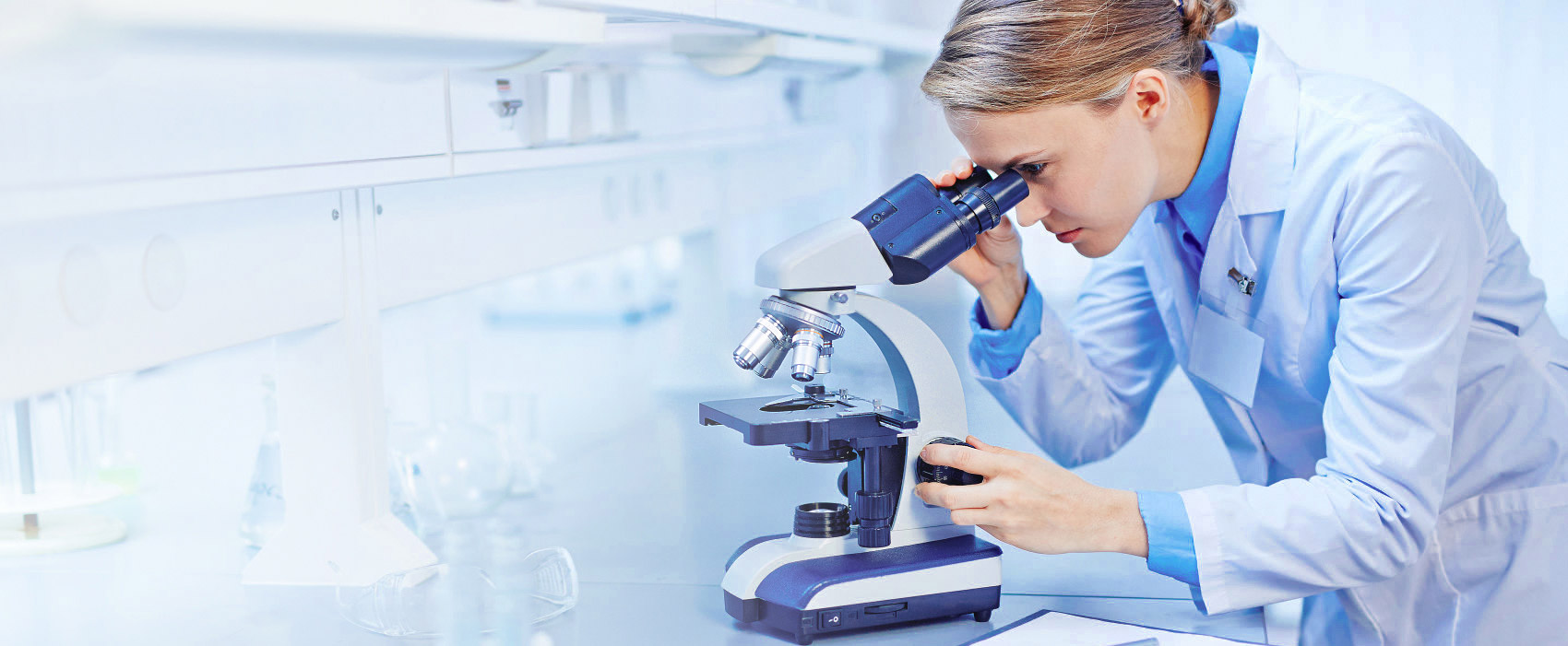 Ascent Petrochem Holdings Co., Limited