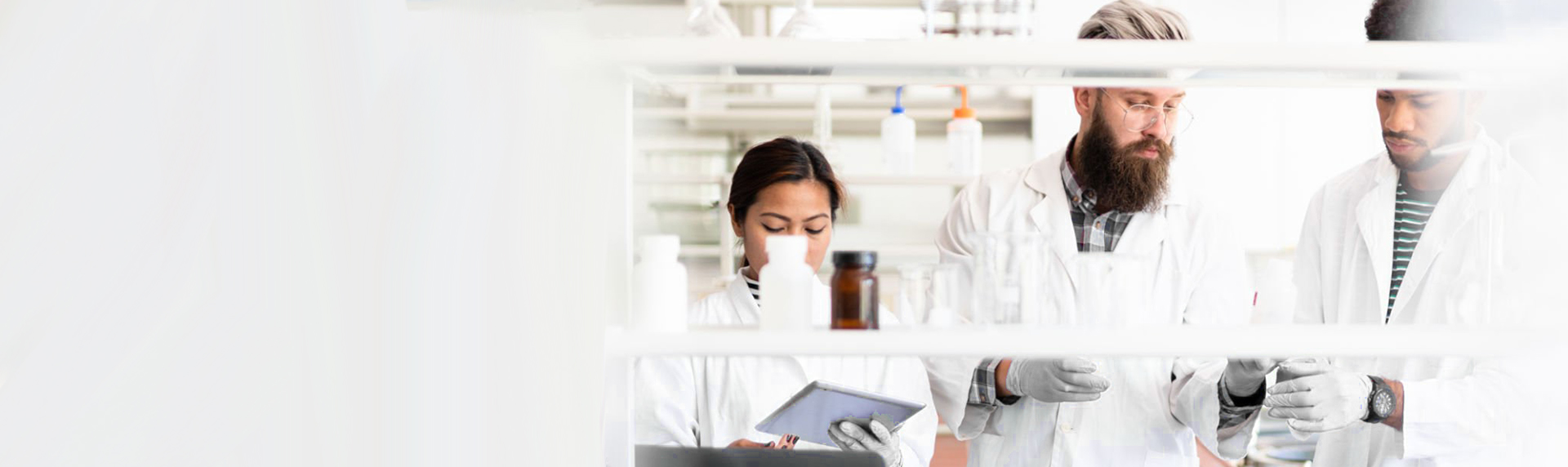 Ascent Petrochem Holdings Co., Limited