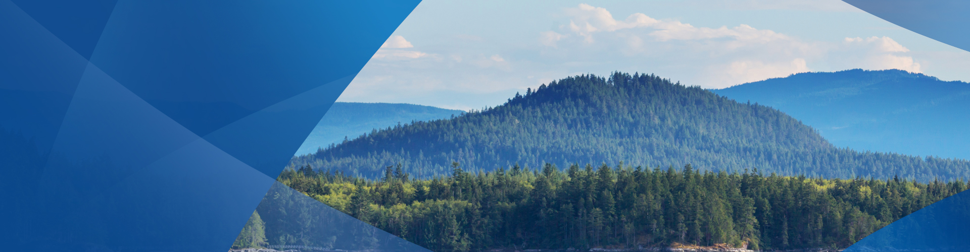 Ascent Petrochem Holdings Co., Limited